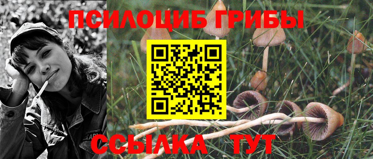 Галлюциногенные грибы Psilocybe  Галлюциногенные грибы ЛСД  продажа наркотиков  Грозный  Вход с VPN 