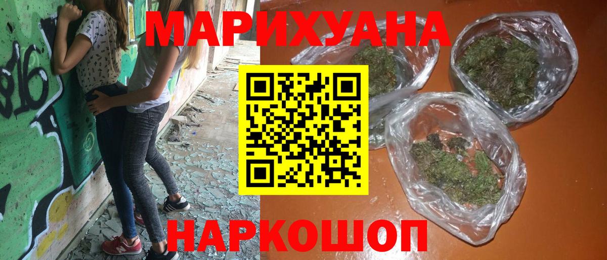 Конопля Грозный